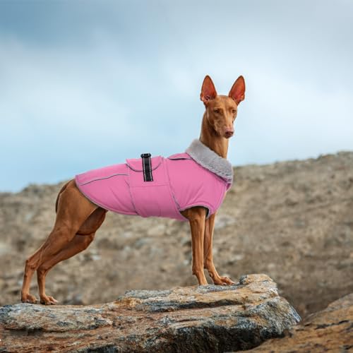Lelepet Warm Dog Coats for Small Dogs Waterproof Dog Winter Jacket Reflective Pet Fleece Vest Windproof Cold Weather Coats with Adjustable Buckle & Leash Hole, Pink, S - color: Pink, size: S