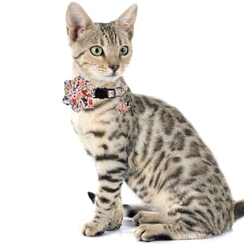 Thanksgiving Day Cat Collar Fall Breakaway with Sunflower and Bell Autumn Holiday for Kitty Adjustable Safety - color: Pumpkin-sunflower
