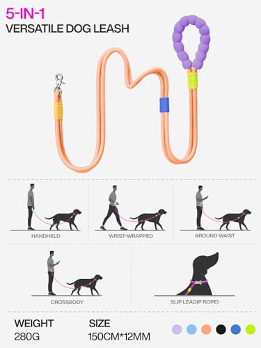 Hands Free Dog Leash, 5-in-1 Adjustable Waist Training Leash for Walking& Hiking – Dual Lead Rope with Padded Handle,MGBR Rotating Metal Clip - color: Classic-Orange-5Ft