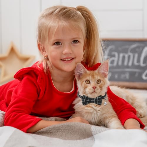 Jeffdad 2Pcs Cat Collar Breakaway, Cat Collar with Bells Bowtie Plaid Cat Collar Adjustable for Kitten Puppy and Small Pets (Black and Gray Plaid) - color: Black and gray plaid