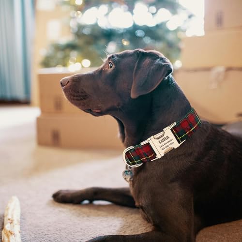 Custom Dog Collar with Name and Phone Numbers - Personalized Laser-Engraved Plaid Polyester Collar with Metal Buckle and D-Ring (Style-S, S (9-13 Inches)) - color: Style-S, size: S (9-13 Inches)
