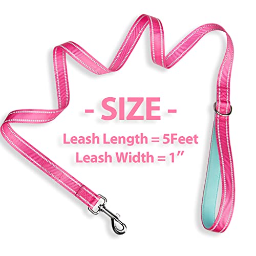PHOEPET 5 Feet Dog Leash with Comfortable Padded Handle Easy Snap Clasp - Reflective Walking Lead for Large, Medium & Small Breed Dogs (Pink + Mint Green Base) - color: Pink + Mint Green Base