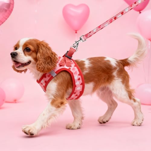 SCENEREAL Valentines Dog Harness Collar and Leash Set, Step in No Pull Soft Mesh Pet Harnesses for Small Medium Dogs Puppy Cats, No Chock Reflective Vest Harness - color: Pink Heart, size: S: Chest Girth: 14.5"-16"