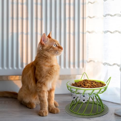 Tilted Elevated Cat Bowl, Food & Water Cat Bowl, Ceramic Pet Food Bowl for Flat Faced Cats, Protect Pet's Spine, Dishwasher Safe - color: Green