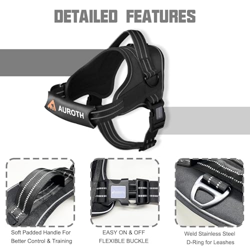 AUROTH Dog Harness and Leash Set, Soft Padded Service Dog Vest with 5.25FT Dog Leash, No Choke, Easy On Pet Vest, Adjustable Reflective No Pull Dog Harness for Large Dogs, Easy Walking and Training - color: Black, size: Large