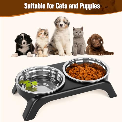 Elevated Cat Bowls, Anti Vomiting Raised Cat Food Bowl with 2 Stainless Steel Bowls, Prevent Neck Pain Cat Bowl Set, ABS Anti Slip Stand Cat Bowls for Indoor Cats & Puppies (Grey) - color: Grey
