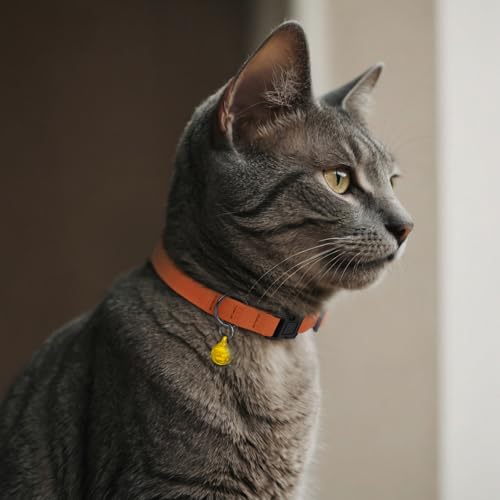 Breakaway Cat Collar Leather with Removable Bell - 13 Colors Available - Soft Adjustable Girl Boy Safety Lightweight Pet Kitten Collars Pink Brown Blue Green Red Orange Black (Emerald) - color: Emerald
