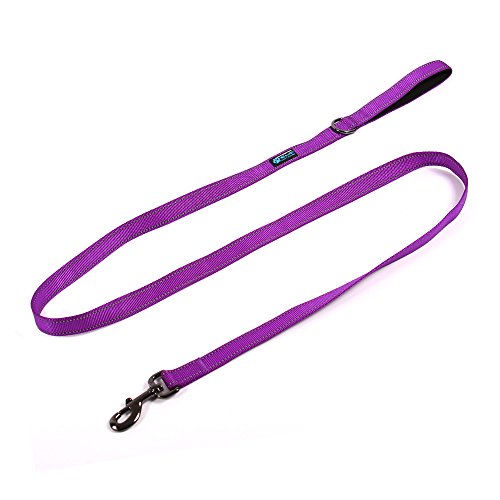 Max and Neo Reflective Nylon Dog Leash - Purple, 4 Feet - color: PURPLE, size: 4 FT x 1" Wide