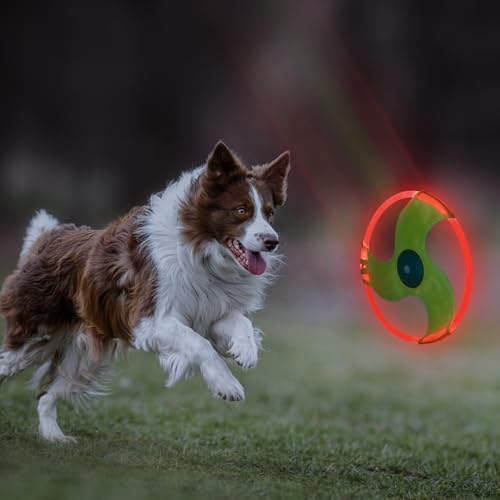 LED Dog Flying Disc, Rechargeable LED Light Dog Flying Disc Flyer Pet Toys, Glow in The Dark Pet Toy with 3 Light Models, High Visibility Lighted Pet Training Throwing Playing for Exercise - color: Green-3