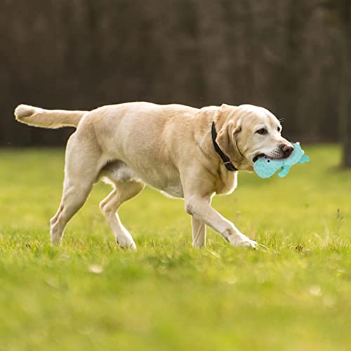 DODODOLA Cute Stuffed Hippo Dog Toys Squeaky Dog Toys with Crinkle Paper Dog Plush Toys for Large Breed Dog Chew Toys for Small, Medium, Large Dogs - color: Cyan Hippo