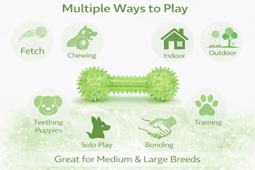 Squeaky Spiky Dog Barbell Toy for Teeth Cleaning & Gum Massage 6.3 Inch Medium Large Dogs Green | Spiny TPR Rubber Chew Toy for Fetch Play Interactive Dental Barbell Durable BPA Free Nontoxic Floats - size: Green Bone 1-Pack