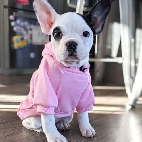 Jecikelon Winter Dog Hoodie Sweatshirts with Pockets Warm Dog Clothes for Small Dogs Chihuahua Coat Clothing Puppy Cat Custume (Pink, X-Small) - color: Pink, size: X-Small