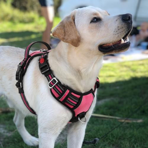 rabbitgoo Dog Harness for Large Dogs, No Pull Pet Vest with 3 Buckles, Adjustable Soft Padded Pet Harness with Easy Control Handle and Reflective Strips, Pink, L - color: Pink, size: Large