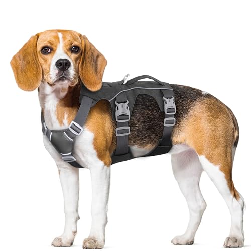 Escape Proof Dog Harness with Handle - Reflective No Pull Dog Vest, Lightweight Full Body Pet Harness Adjustable for Small Dogs Walking,Training(Black,Chest:14-22") - color: Black, size: XS: Chest 14-22", Fit 8-12 lbs