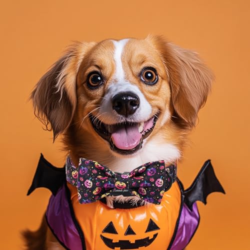Halloween Dog Collar with Bow Tie - Cute Halloween Black Spooky Pumpkin Dog Collars, Adjustable Metal Buckle Bowtie Collar for Small Medium Large Boy Girl Dogs XS - color: B-Spooky Pumpkin, size: XS