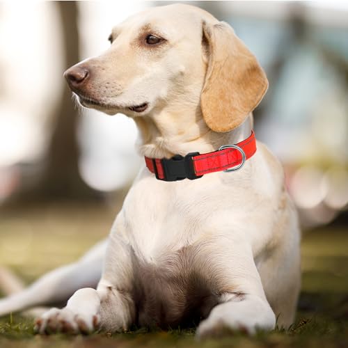 Dog Collars Adjustable for Puppy and Small Dogs,Heavy Duty Waterproof Dog Collar with Quick Release Buckle,Girl Boy Female Male Reflective Nylon Dog Collar with Soft Neoprene Padded,XS,Red - color: Red, size: X-Small