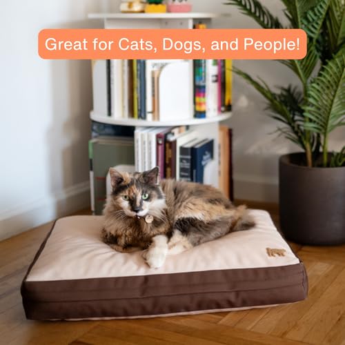 Rawry Orthopedic Dog Bed | Memory Foam Dog Bed with Handle | Water-Resistant, Machine Washable Cover | Floor Cushion for Cats, Dogs & People - Tan/Brown (Small - 24" x 18") - size: Small
