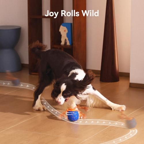 Cheerble Smart Interactive Dog Toy, Wicked Ball Rolly, Automatic Moving, Bouncing, Rotating, E-TPU Material, Active Rolling Interactive Dog Ball for Medium and Large Dogs (Blue) - color: Blue