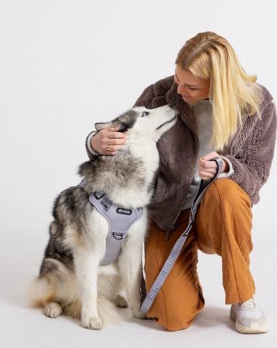 2026 New Edition, Fei & Eve MagEase Dog Harness - Instant Magnetic Buckle | 3-Point No-Pull Control | Heavy-Duty 900D Nylon | Dual Safety Handles | Breathable Mesh | Adjustable Fit | Medium,Gray - color: Twilight Gray, size: M
