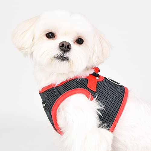 Puppia Soft Vest Dog Harness II Mesh Step-in All Season No Pull No Choke Walking Training for Small & Medium Dog - Grey - S - color: GREY, size: Small