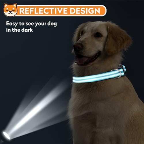 Reflective Dog Collar, Adjustable Soft Neoprene Padded Nylon Pet Collars with Buckle for Puppy and Small Dogs, Cats, Sky Blue,XS - color: Sky Blue, size: X-Small