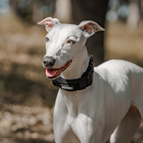 OneTigris Small Dog Collar with Handle, Soft and Adjustable Nylon Collar with Quick-Release Buckle, Lightweight No-Choke Design for Small Dogs(Black, XS) - color: Black, size: XS(10"-13")