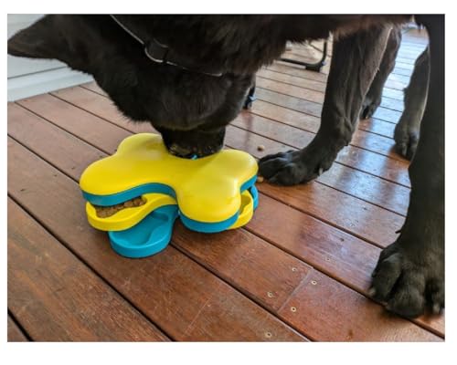 Interactive Dog and Cat Games Treat Hiding Challenge Mental Stimulation with Rewards (11 Inch Tornado Game) - size: 11 Inch Tornado Game