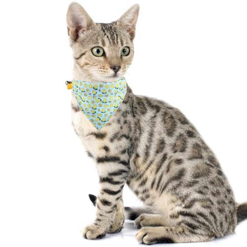 Cat Collar Breakaway with Cute Bow Tie Bandana and Bell Fruits Accessories for Kitty Adjustable Safety - color: lemon