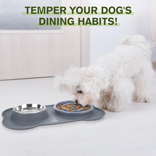 Pecute Slow Feeder Dog Bowls to Slow Down Eating, Dog Bowl Slow Feeder with No-Spill Non-Skid Silicone Mat, Food-Grade Safe Dog Food Bowls Slow Feeder, Stainless Steel Dog Water Bowl for Dogs Cats - size: Large-2 Cup/17 oz each