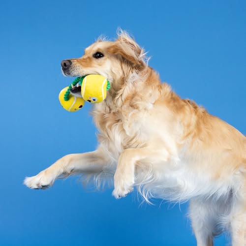 Fringe Studio Plush Dog Toy with Rope, Game, Set, Match, Pet Shop Collection (314239) - color: Game, Set, Match