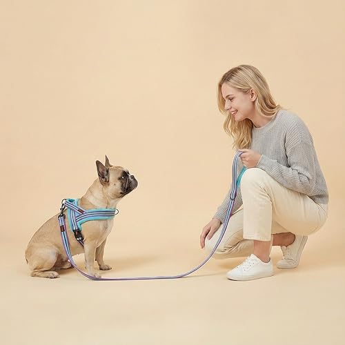 Didog Soft Flannel Padded Dog Vest Harness, No Pull/Quick Fit Reflective Dog Strap Harness, Easy for Training Walking (XS:Chest 15-18", Mixed-Blue) - color: Mixed-Blue, size: XS:chest 15-18"