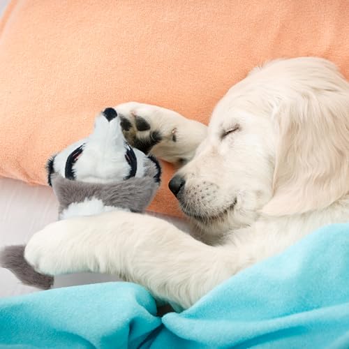 Nocciola 2-in-1 No Stuffing Crinkle Dog Toys with Soft and Durable Fabric, Holds Water Bottles, 2 Extra Long & 3 Regular Size Stuffless Squeaky Dog Toys for Small to Large Dog - style: 2 Extra Long& 3 Regular Size Holds Water Bottles