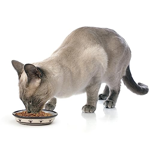 PetRageous 44247 Oval Metro Paws Stoneware Cat Bowl 6.25-Inch Wide and 1.5-Inch Tall Saucer with 1-Cup Capacity and Dishwasher and Microwave Safe for Small Dogs and Cats, Multicolored,Black