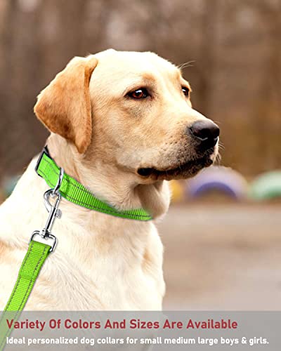 Reflective Dog Collar with Buckle Adjustable Safety Nylon Collars for Small Medium Large Dogs, Grass Green S - color: Grass Green, size: Small :Width 5/8",Neck 10-14"