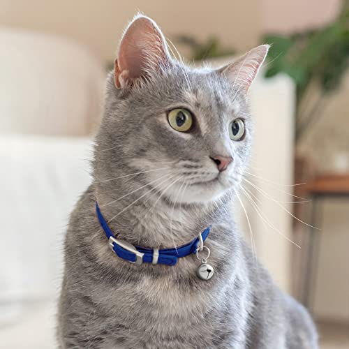 CollarDirect Leather Cat Collar with Removable Bell – Safety Elastic Strap (Breakaway Alternative) – Kitten Collar for Small & Big Boy & Girl Cats - color: Navy Blue, size: 6-7 Inch