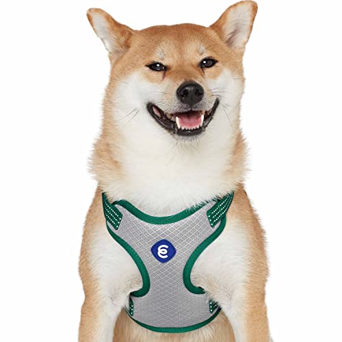 Blueberry Pet Essentials Back to Basics Reflective Dog Harness Vest, Dark Green, Medium, Adjustable Harnesses for Dogs - color: Dark Green, size: Medium (Pack of 1)