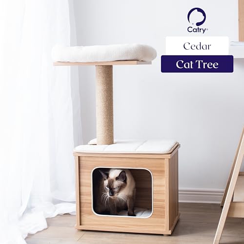 Catry 29.7" Tall 3 Level Laminated Wood Cat Tree with Large Base Condo, 2 Paded Steps, Natural Jute Scratching Post, Sturdy and Easy to Assemble for Small Cat, Brown - color: Brown