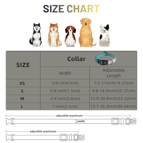 Roses&Poetry Small Dog Collar, Adjustable Personalized Durable Pet Collars for Small Medium Large Dogs (Teal-S) - color: Teal, size: S