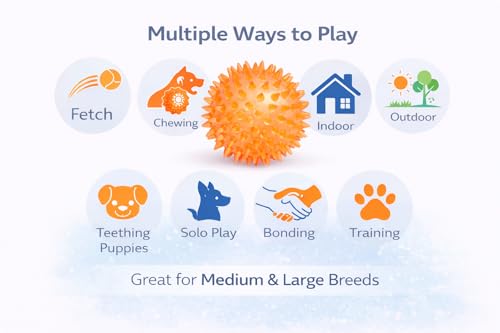 Squeaky Spiky Dog Ball for Teeth Cleaning & Gum Massage 2.5 Inch Small Medium Dogs Orange | Spiny TPR Rubber Chew Toy for Fetch Play Interactive Bouncy Dental Ball Durable BPA Free Nontoxic Floats - size: Orange, 2.5" 1 - Pack