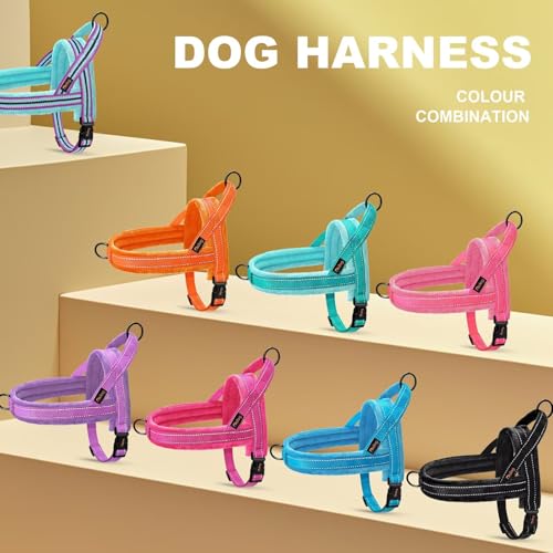 Didog Soft Flannel Padded Dog Vest Harness, No Pull/Quick Fit Reflective Dog Strap Harness, Easy for Training Walking (S:Chest 18-22", Hot Pink) - color: Hot Pink, size: S:chest 18-22"