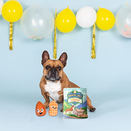 Fringe Studio Hide & Seek Plush Burrow Dog Toy Set, WAGGIN Tail Trail Mix(289212), Multicolored - color: Waggin Trail