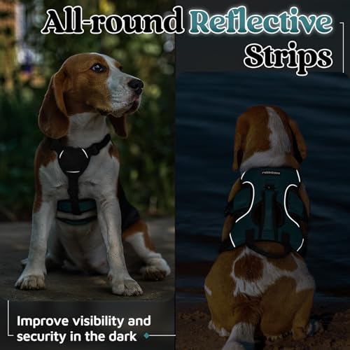 rabbitgoo Escape Proof Dog Harness Small Sized Dog, Soft Padded Full Body Pet Harness, Reflective Adjustable Vest with Lift Handle and Leash Clip for Walking Hiking Training, Dark Green, S - color: Dark Green, size: Small (Pack of 1)
