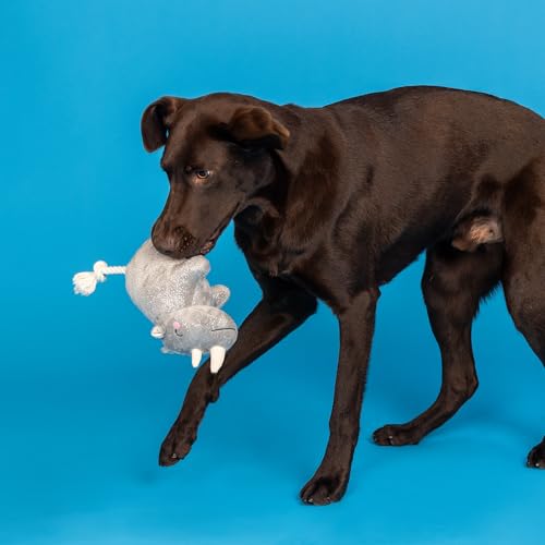 Fringe Studio Plush Dog Toy with Rope, Rhino You Want ME?, Pet Shop Collection (314594) - color: Rhino You Want Me?