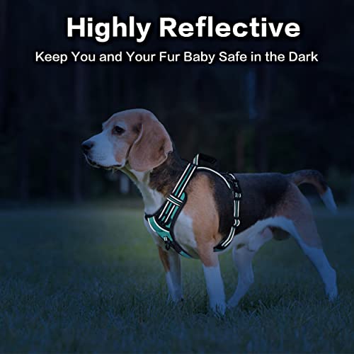 PoyPet No Pull Dog Harness, No Choke Front Clip Reflective Dog Vest with Soft Padded Vertical Handle, 3 Leash Attachments for Small Medium Large Dogs (Mint Blue,XL) - color: Mint Blue, size: Extra Large