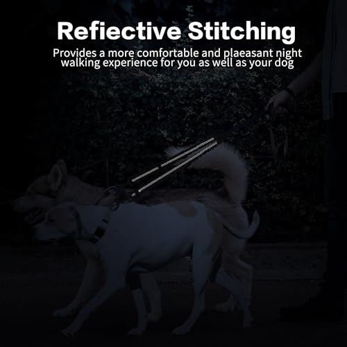 YAODHAOD Double Dog Leash,Two Dog Leash Splitter, No Tangle 360° Swivel Rotation Reflective Lead, Adjustable Length Bungee Heavy Duty Walking Training Dual Extension (Black) - color: Black