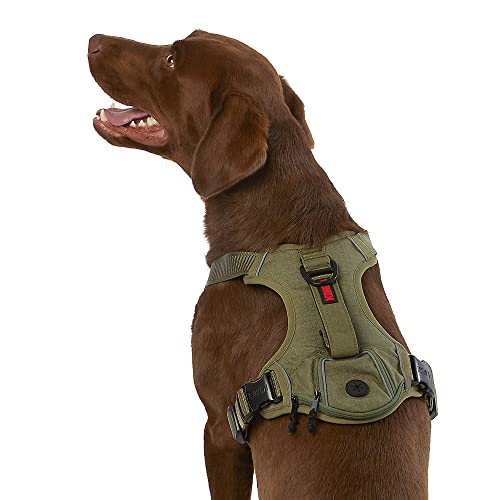 KONG Ultra Durable Waste Bag Harness (Small, Green)