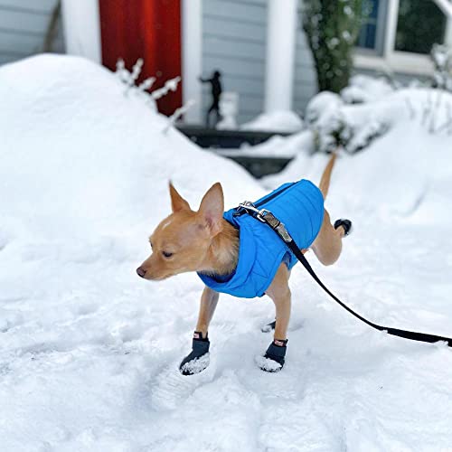 Gooby Puffer Vest - Blue, X-Small - Ultra Thin Zip Up Windbreaker with Dual D Ring Leash - Water Resistant Dog Sweater Coat for Small Dogs - color: Blue, size: X-Small chest (12")