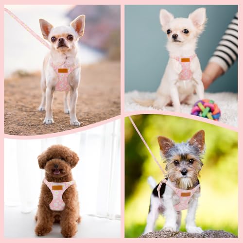 Lukovee Puppy Harness and Leash Set, No Pull Lightweight Soft Suede Adjustable Pet Harness Vest with Snap Buckle for Puppy Small and Medium Size Dog (Pink-XXS) - color: Pink Daisy, size: XX-Small ( 2.2-6lb )