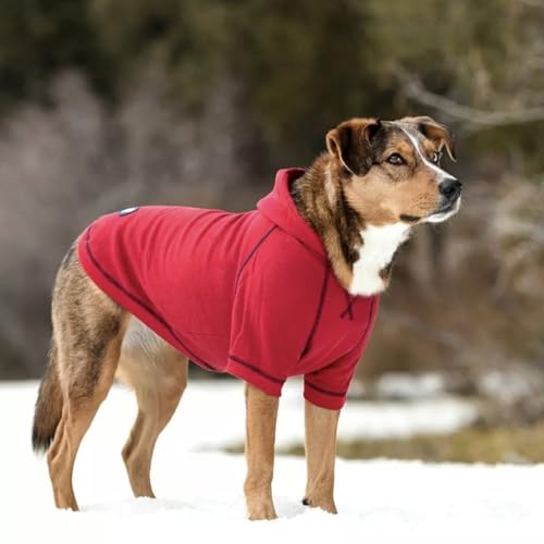 Blueberry Pet Hoodie – 14″ Soft French Terry Chilly‑Season Sweatshirt with Hood, Red, Award‑Winning Small‑Dog Jersey - color: Dog Hoodie - Red, size: 14 inch (Pack of 1)