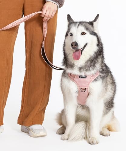 2026 New Edition, Fei & Eve Classic Dog Harness - Quick-Release Buckles | 3-Point No-Pull Control | Heavy-Duty 900D Nylon | Dual Safety Handles | Breathable Mesh | Adjustable Fit | Small,Pink - color: Pink, size: S